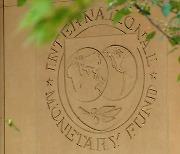 IMF "한은, 섣부른 통화정책 완화 안 돼"