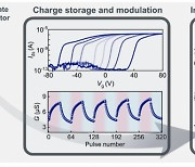 UNIST, 뇌 동작 정밀 모사하는 차세대 반도체 소자 개발