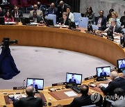 UN Security Council Switzerland