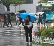 비 내리는 제주 도심