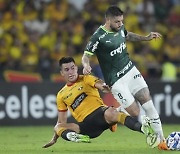 Ecuador Brazil Soccer Copa Libertadores