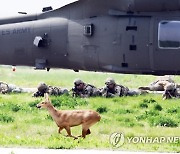 훈련장에 나타난 고라니