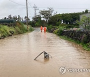 호우특보 내린 제주 건물·도로 곳곳 침수…신고 9건