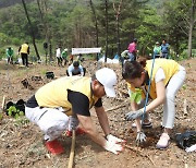 이마트, ‘숲 환경 개선 및 산림복지 강화’ 업무협약