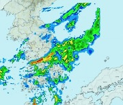 역 잠기고 농작물 쓰러져…남부, 시간당 20㎜ '강한 비' 예보