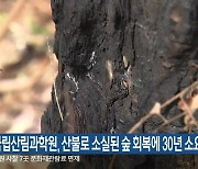 국립산림과학원, 산불로 소실된 숲 회복에 30년 소요