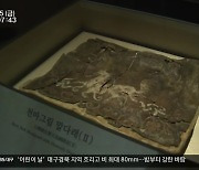 9년 만에 만나는 천마도…다른 3점의 천마 공개