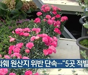 농관원, 화훼 원산지 위반 단속…“5곳 적발”