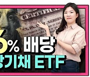 연 16% 나오는 장기채 ETF가 있다?…미국 장기채 ETF 대해부 [나수지의 쇼미더재테크]