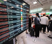 폭우에 제주 항공 결항...수학여행 온 6000명 발묶여