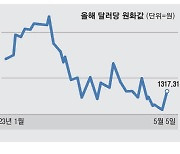 원화 약세에 …'환노출 펀드' 투자자 웃는다