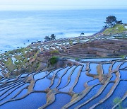 용의 귀, 노토반도 기막힌 해변 다랭이논 [함영훈의 멋·맛·쉼]