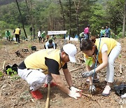 이마트, 산림 개선 캠페인 '포레스트 투모로우' 참여