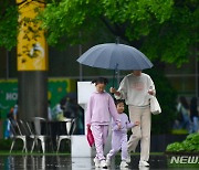 광주·전남 누적 294㎜ 비…가로수 전도·뱃길 통제도