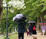 [오늘의 날씨]전국에 많은 비···전남·제주도 최대 150㎜