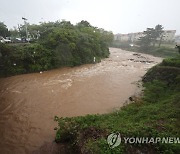 급류로 변한 제주 한천