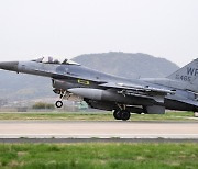 미군 전투기 F-16, 평택 농지에 추락…조종사 무사 탈출