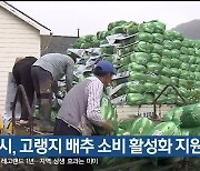 삼척시, 고랭지 배추 소비 활성화 지원