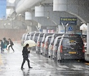 한라산 1000㎜ '물폭탄'…제주 항공편 이틀째 차질