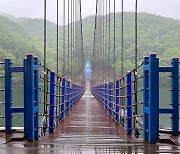 우중에도 스릴 즐기는 사람들... 이 출렁다리의 매력