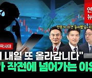 [영상] 똑같은 작전 수법에 한번 속고 두번 속고 자꾸만 속는 개미들