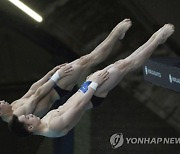 World Cup Montreal Diving