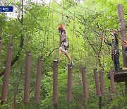 놀이공원 수십만 원 훌쩍…가성비 ‘구청 랜드’ 인기