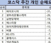 코스닥 주간 개인 순매도 1위 ‘바이오니아’