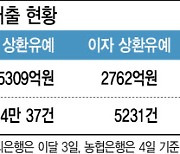 5대 은행, 원금·이자 미뤄준 중기·소상공인 대출 37조원