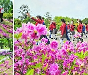 北 "중앙식물원에 꽃계절 한창… 찾아오는 사람으로 흥성"