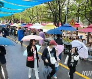 양구 곰취축제 우중에도 성황… 강원도 봄 축제 명성 입증