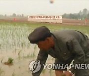 북 "이상기후 기정사실화…모내기 5월말까지 와닥닥 끝내야"