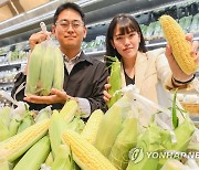 현대백화점, 초당 옥수수 할인 판매