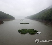 저수율 오르는 화순 동복댐