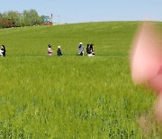 [오늘의 날씨] 충북·세종(8일, 월)…일교차 크고 대체로 맑아