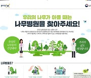 산림청, 수목 진료 위반 특별단속…나무의사 자격제도 정착 도모