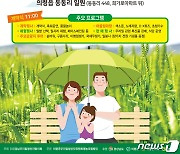 경남 의령군 동동리 밀밭에서 '우리밀 축제' 21일 개막