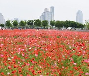 “봄의 정원, 향기 물들다”… 울산시, 태화강 국가정원 봄꽃축제