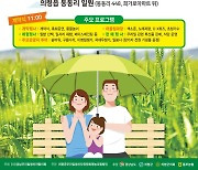 의령군, 밀밭에서 어우러지는 우리밀 축제 연다