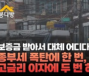 누가 전세 사기꾼에게 꽃길을 깔아줬나