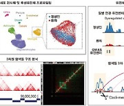 2040년 1천420만 고통 '파킨슨병'…발병 연관 유전자 파악했다