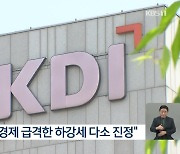 KDI “내수 회복세로 급격한 하강세는 다소 진정”