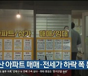 울산 아파트 매매·전세가 하락 폭 둔화