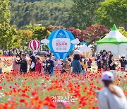 ‘봄꽃 6000만 송이’ 울산 태화강국가정원 봄꽃축제 19∼21일 개최