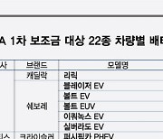 美 전기차, IRA 보조금 싹쓸이해도 22개 중 17개 'K-배터리'