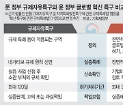 전면 네거티브 규제 시행… 혁신특구 ‘글로벌 스탠더드’ 맞춘다