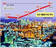 中 리오프닝에도 멈춰선 석화업계