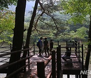 '숲속 힐링해볼까' 속리산 세조길 걷기대회, 13일 개최