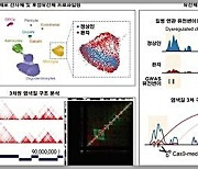 KAIST, 세계 최초 파킨슨병 3차원 게놈 지도 작성