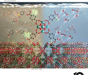 경희대 연구팀, 수질오염 화합물 잡는 염소 라디칼 촉매 개발